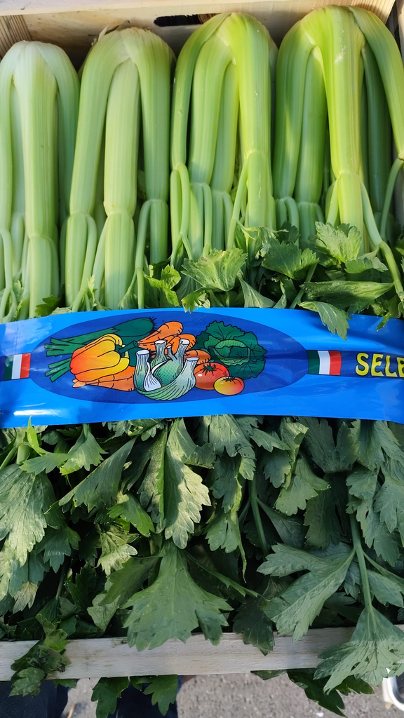 Celeri Branche Vert Italie (prix/pcs)
