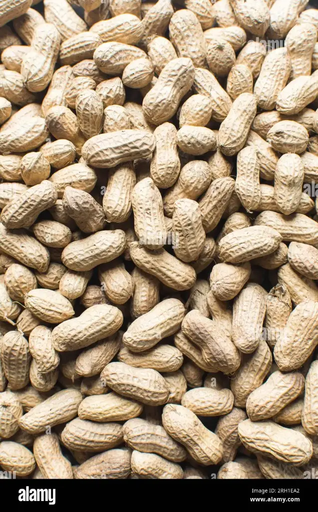 Arachides fraiches Togo-Prix/Kg