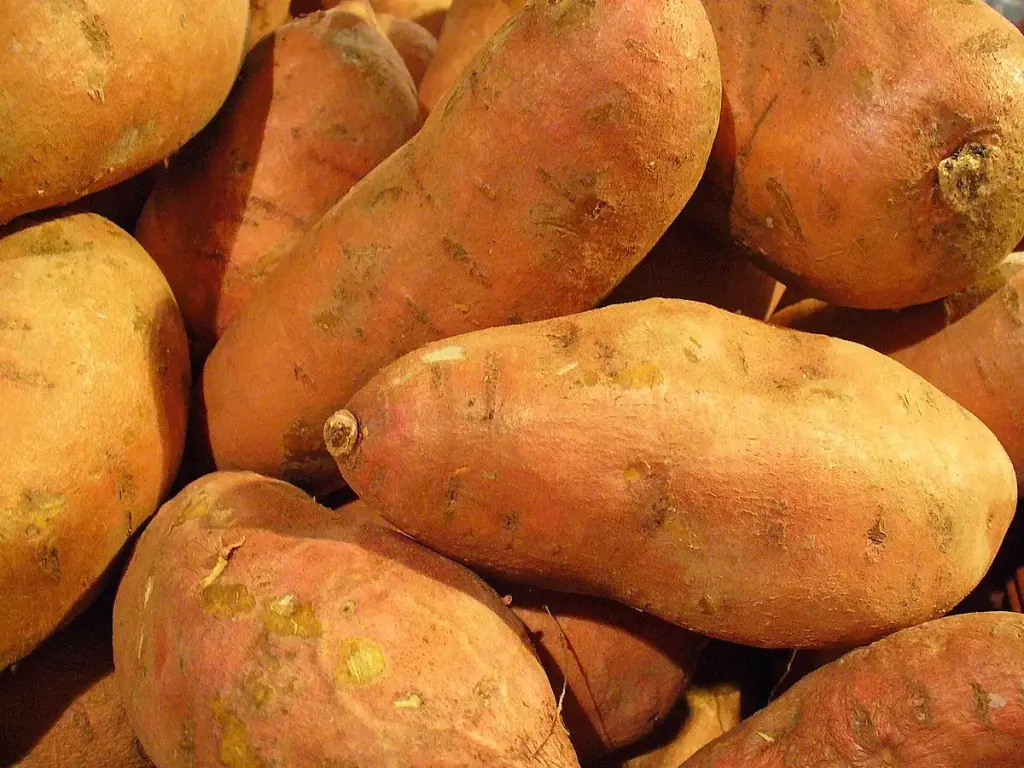 Patate douce Orange Egypt - Orange sweet potato-Prix/Kg