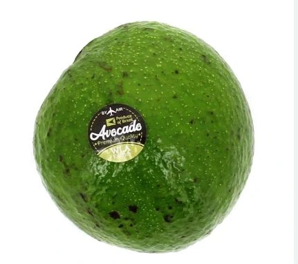 Avocat Vert/  Green Avocado Brazil