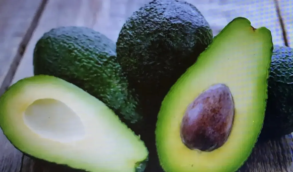 Avocat moyen Vert/ Medium Green Avocado Peru