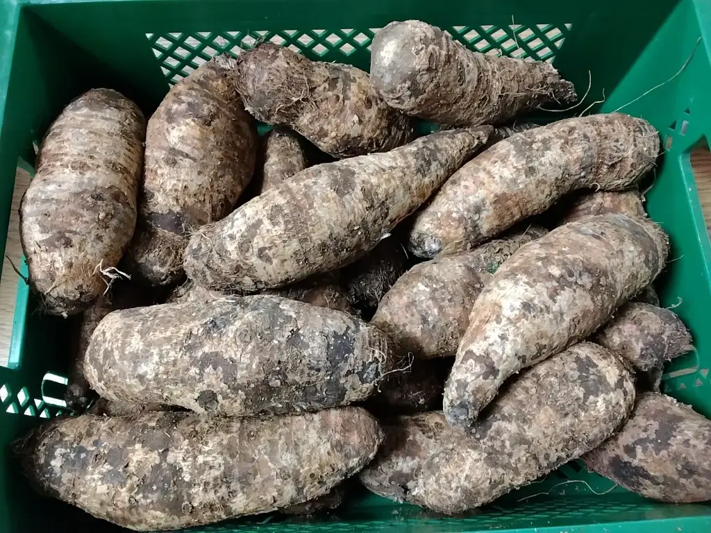 Promotion Cocoyam Uganda (Prix/Kg) 