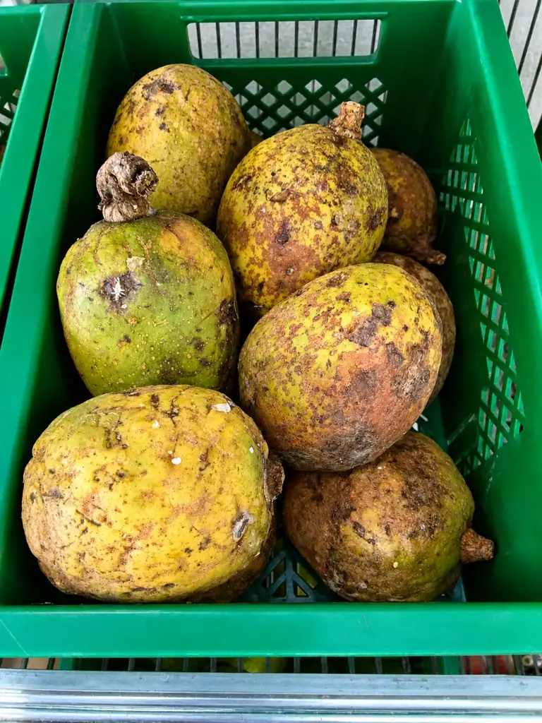 Madd de Senegal - Moyen