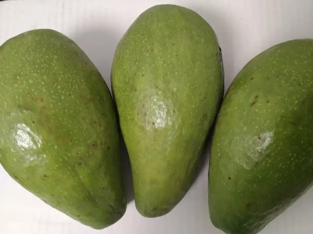 Big Avocats verts (Ouganda) _ Prix / pc