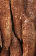 Box of Cassava/Manioc Costa Rica _18kg