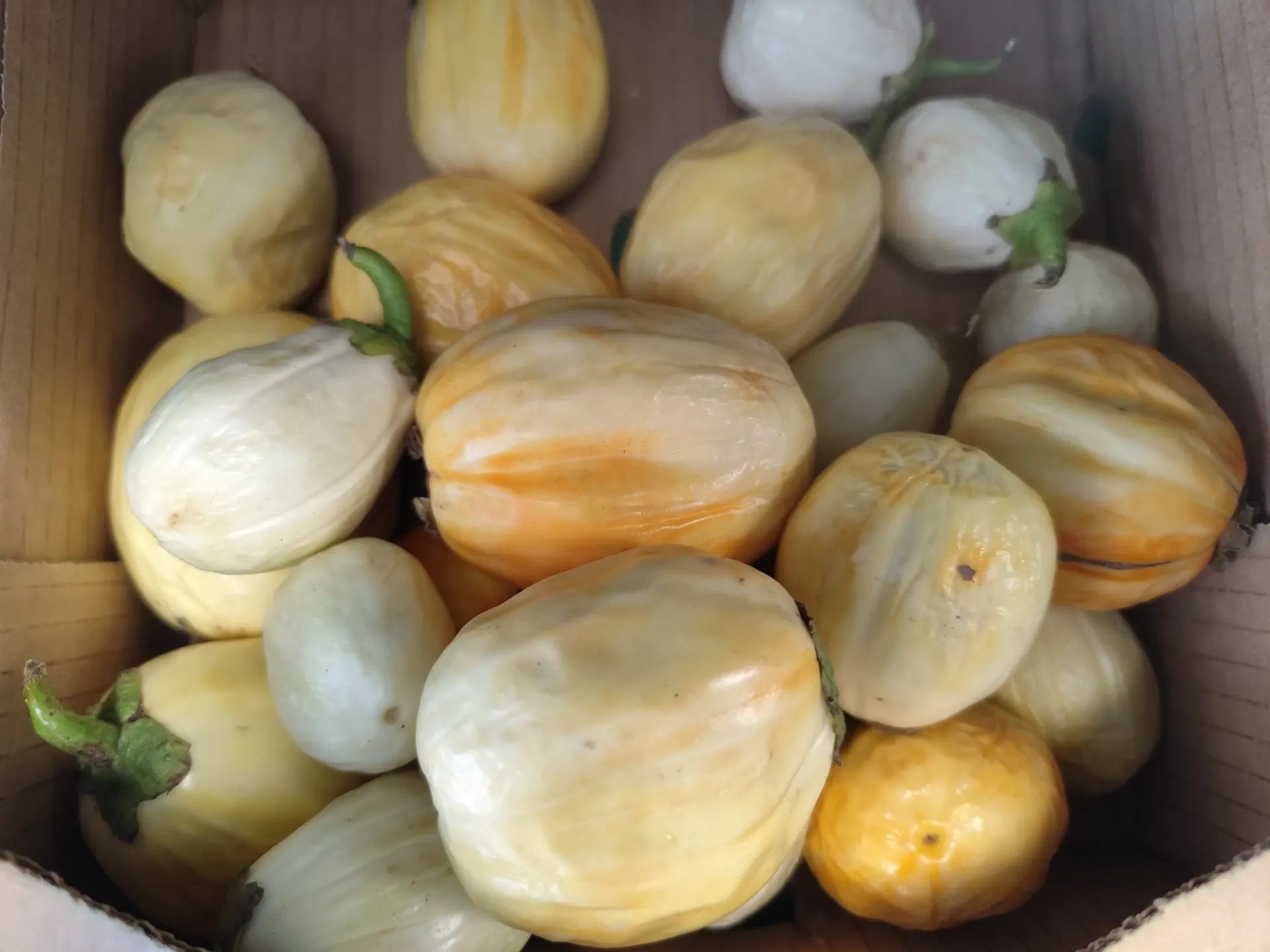 Promotion Garden Eggs / Aubergines blanches (Prix/kg)