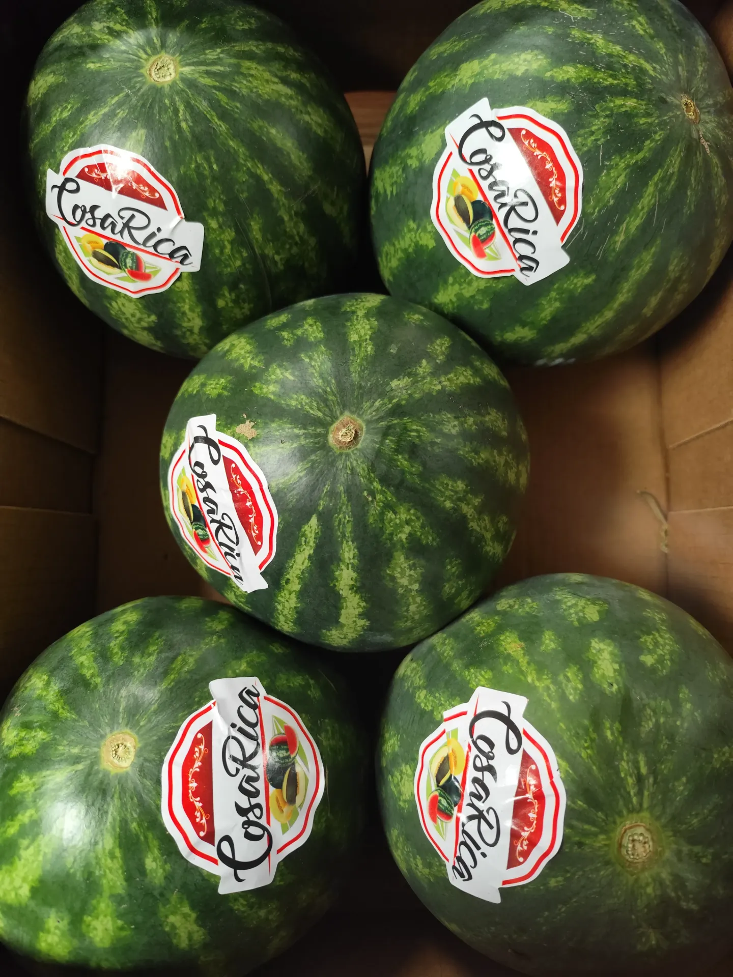 Pastèque🍉 Brésil