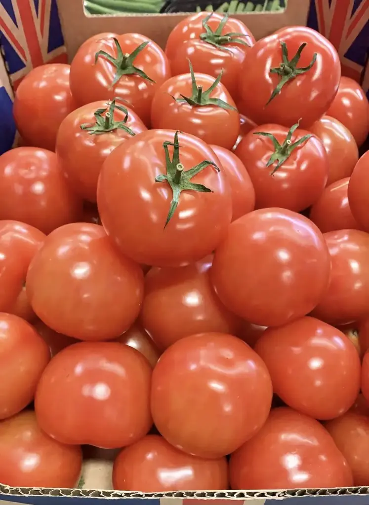 Tomate/Tomatoes  -/+ 1KG