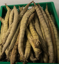 Bobolo Frais- Fresh Bobolo- du Cameroun _ 1 pièce