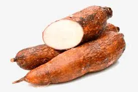 MANIOC CASSAVA (COSTA RICA) (Prix/Kg)