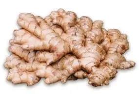 Gingembre Frais Grand (Prix/Kg)