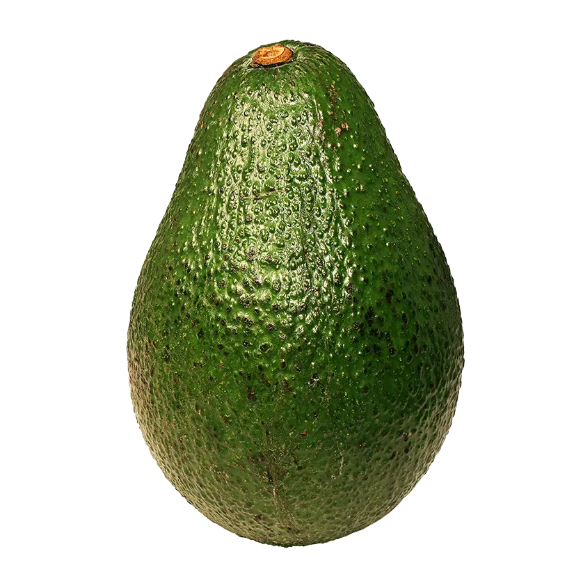 Grand Avocat - Big Avocado