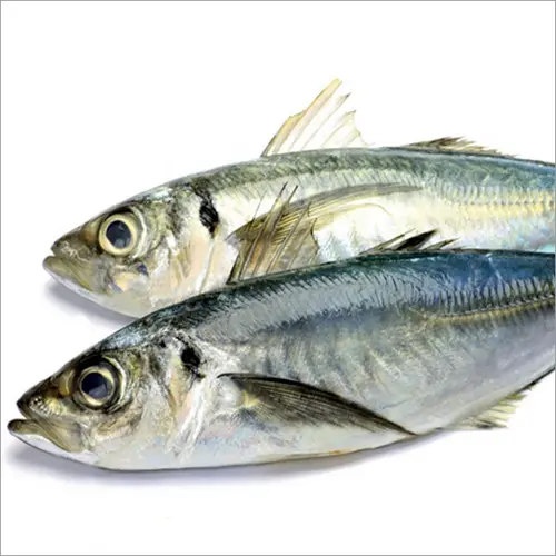 Chinchard Horsemackerel Congelé Emballé-1kg 