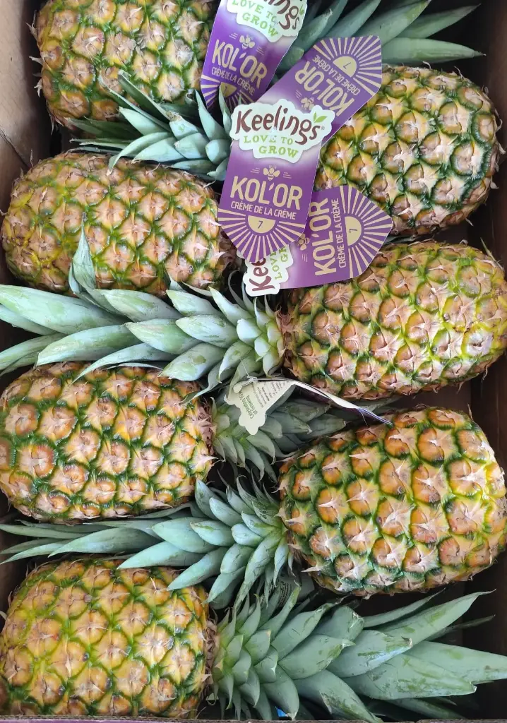 Ananas Extra Sweet Costa Rica /pièce