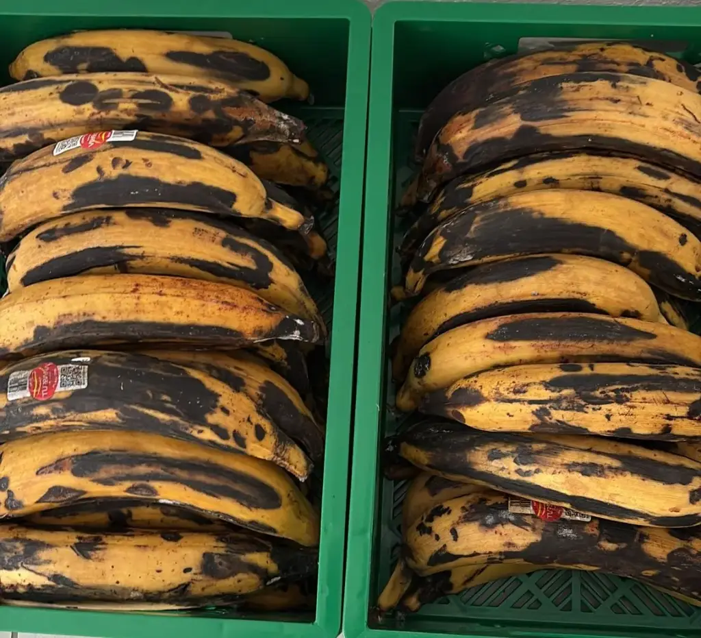 Promotion Plantains jaunes 1,50 euros/kg