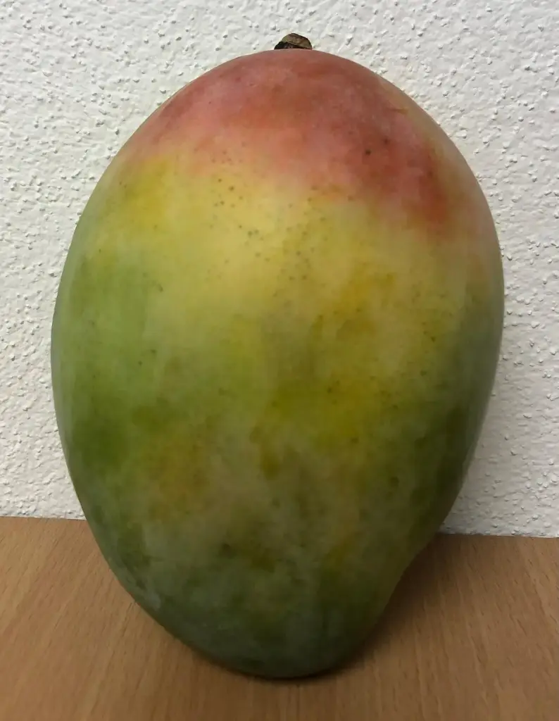 Mango Grand _ Prix/pièce