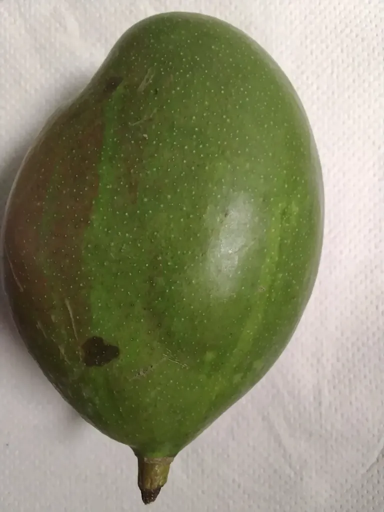 Mango du Brazil - Prix/pièce