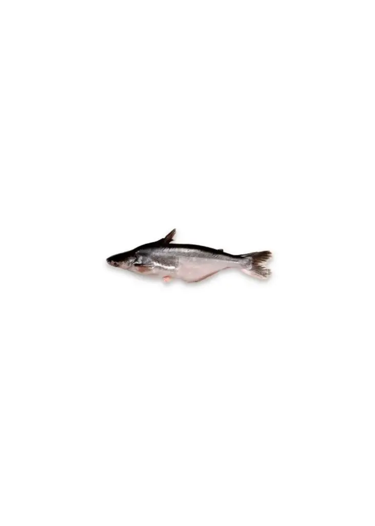 ULTIMATE PANGASIUS MALANGWA 500-1000g- Prix/Kilo