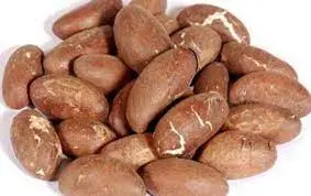 COLA NOIX BITTER (TOGO)-Bitter Kola (prix/pcs)