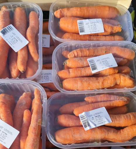 Carotte France 1Kg 
