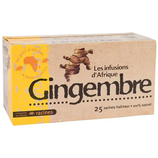 RACINES TEA AU GINGEMBRE 1PX25 SACHETS
