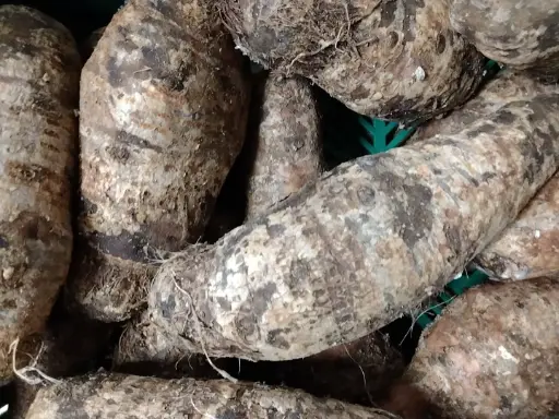 Cocoyam Uganda (Carton/Boxe)
