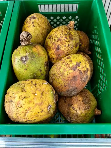 Madd de Senegal - Moyen