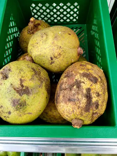 Madd de Senegal - Grand