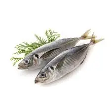 WESTCOAST THOMSON CHINCHARD NORVEGE 400G+ (Prix/Kg) 