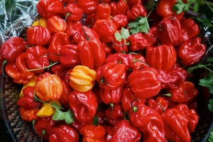 Pili Pili Rouge- Red Pepper (Prix/KG) 