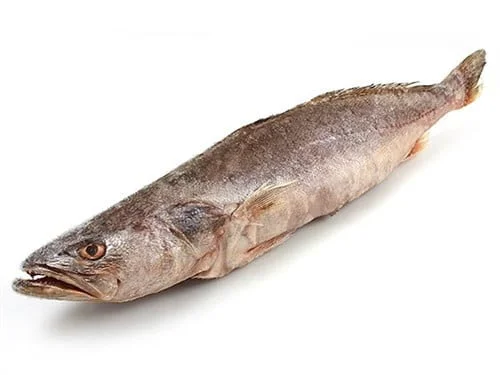 KANDRATIKIE-Captaine-Bar-Seatrout Fish ( Prix/Kg)