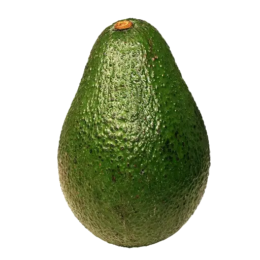 Grand Avocat - Big Avocado