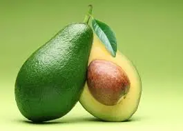 Grand Avocat Vert/ Big Green Avocado Uganda