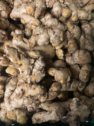 GINGEMBRE - GINGER PETIT (Prix/Kg) 