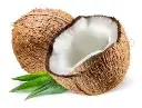 Coconut-Noix de Coco _ Petit