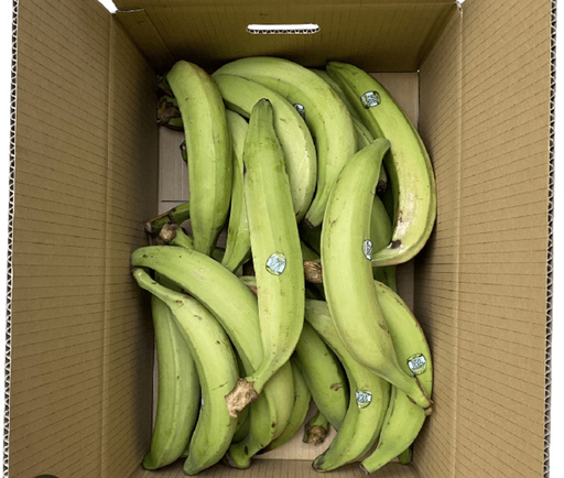 Carton de plantain Vert- 23kg 