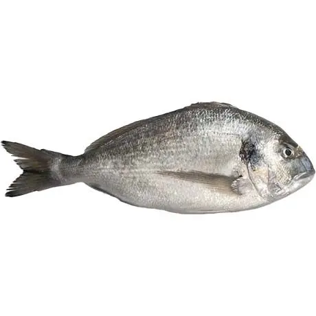 Congele - Frozen Dorade 300/500g (Prix/Kg)