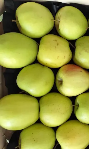 Pomme Golden /kg