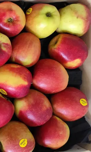 Pomme Jonagold /kg