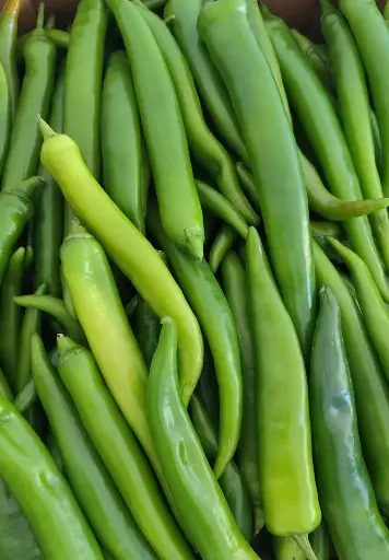 Piment long vert /kg