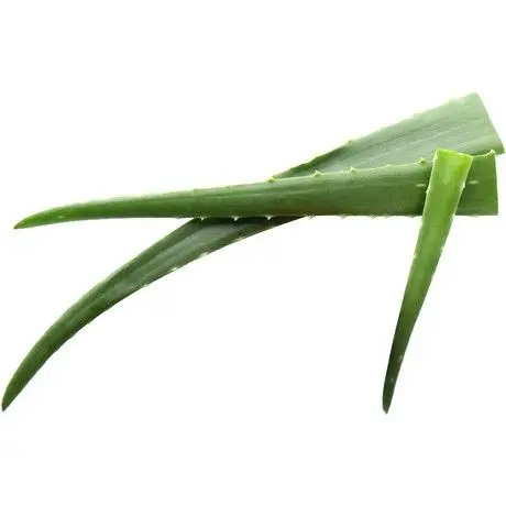 Aloe Vera (Prix/Kg) 