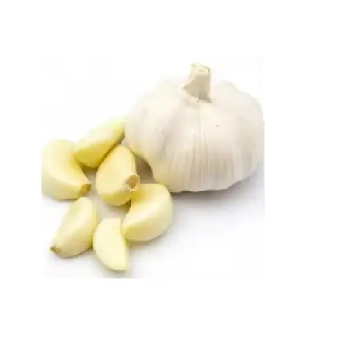 Fresh Garlic-Ail frais-(prix/500g)