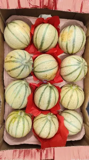 Melon charentais 