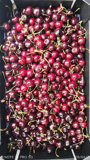 Cerises / kg