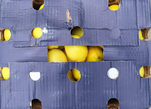 Citrons jaunes 1 pièce